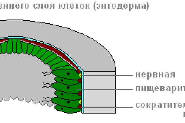 Код аккаунта блэк спрут