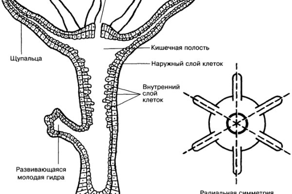 Блэк спрут нет blacksprut adress com